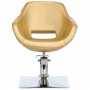 Χρυσό σετ κομμωτηρίου Laura κομμωτηρίου και 2 x περιστρεφόμενη υδραυλική καρέκλα κομμωτηρίου για κομμωτήριο κινητό μπολ κεραμικό μίξερ βρύσης χειρολαβή - 6