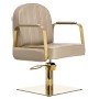 Καρέκλα κομμωτηρίου Drake υδραυλική περιστρεφόμενη καρέκλα για κομμωτήριο καρέκλα κομμωτή - 2
